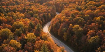 Autumn leaves line a winding National Scenic Byway through mountains.