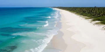 Aerial view of a pristine white sand beach with turquoise ocean