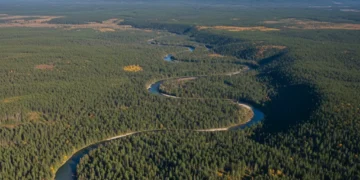Panoramic view of a serene, untouched national park landscape with mountains and forests